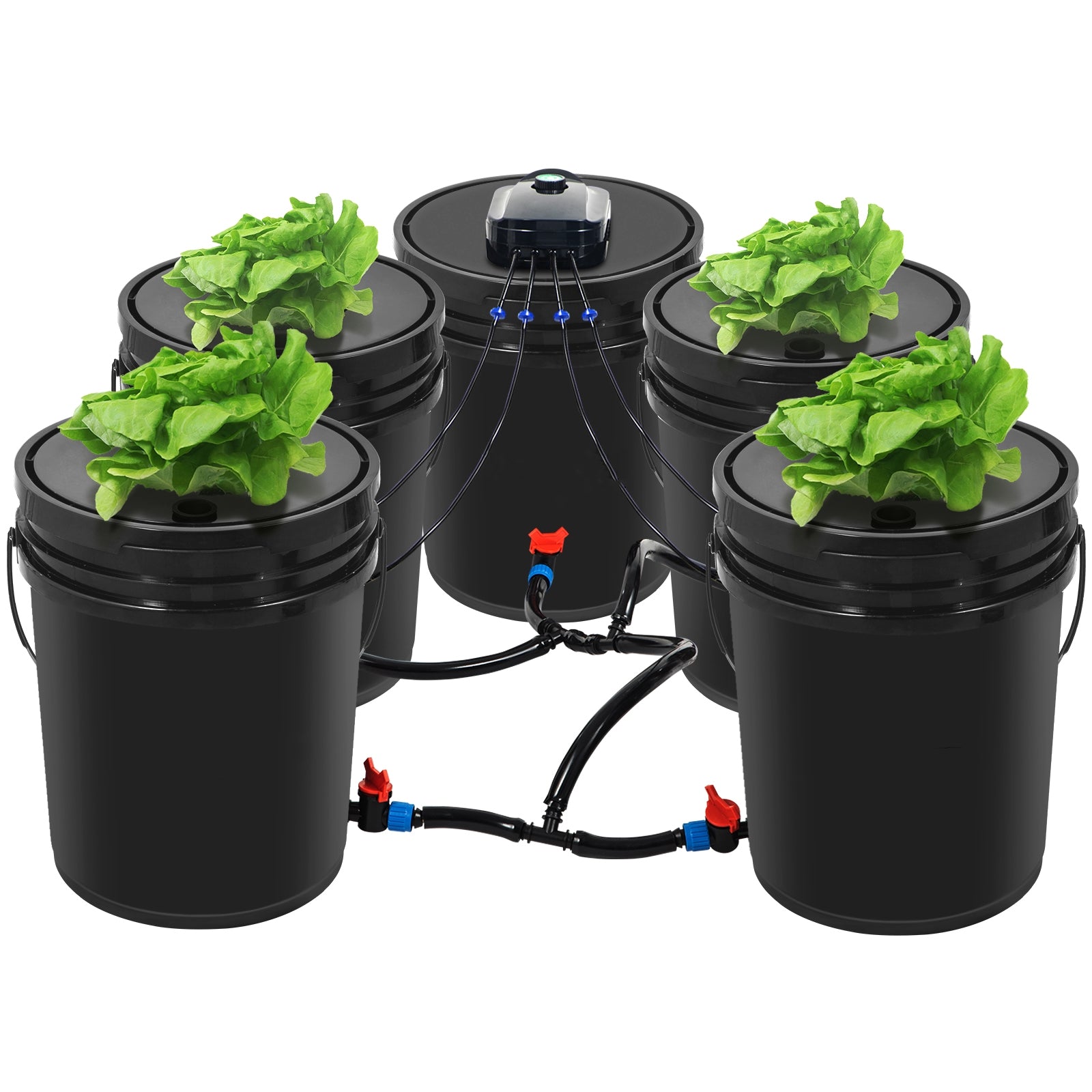 BENTISM Hydroponics Deep Water Culture DWC Hydroponic System 5 Gallon 5 Buckets