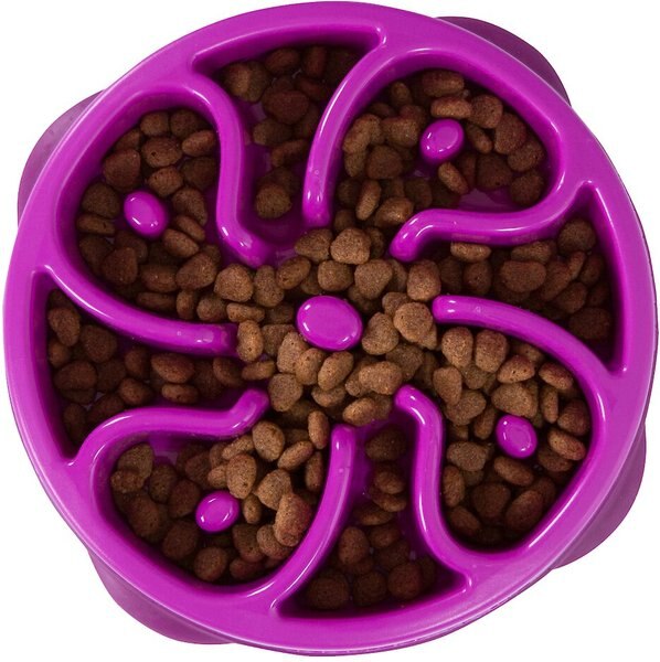 Outward Hound Fun Feeder Interactive Dog Bowl， Purple