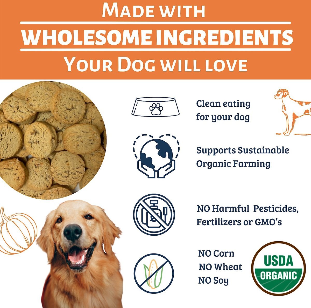 Dog Mamma’s Organic Pumpkin Snaps Dog Treats