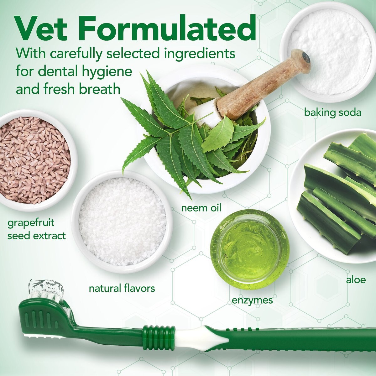 Vet's Best Toothbrush and Toothpaste Dental Kit