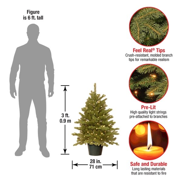 National Tree Company 3 ft. Hampton Spruce Green Holiday Tree with Clear LED Lights