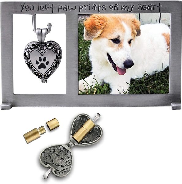 Cathedral Art Pet Memorial Frame with Ashes Locket