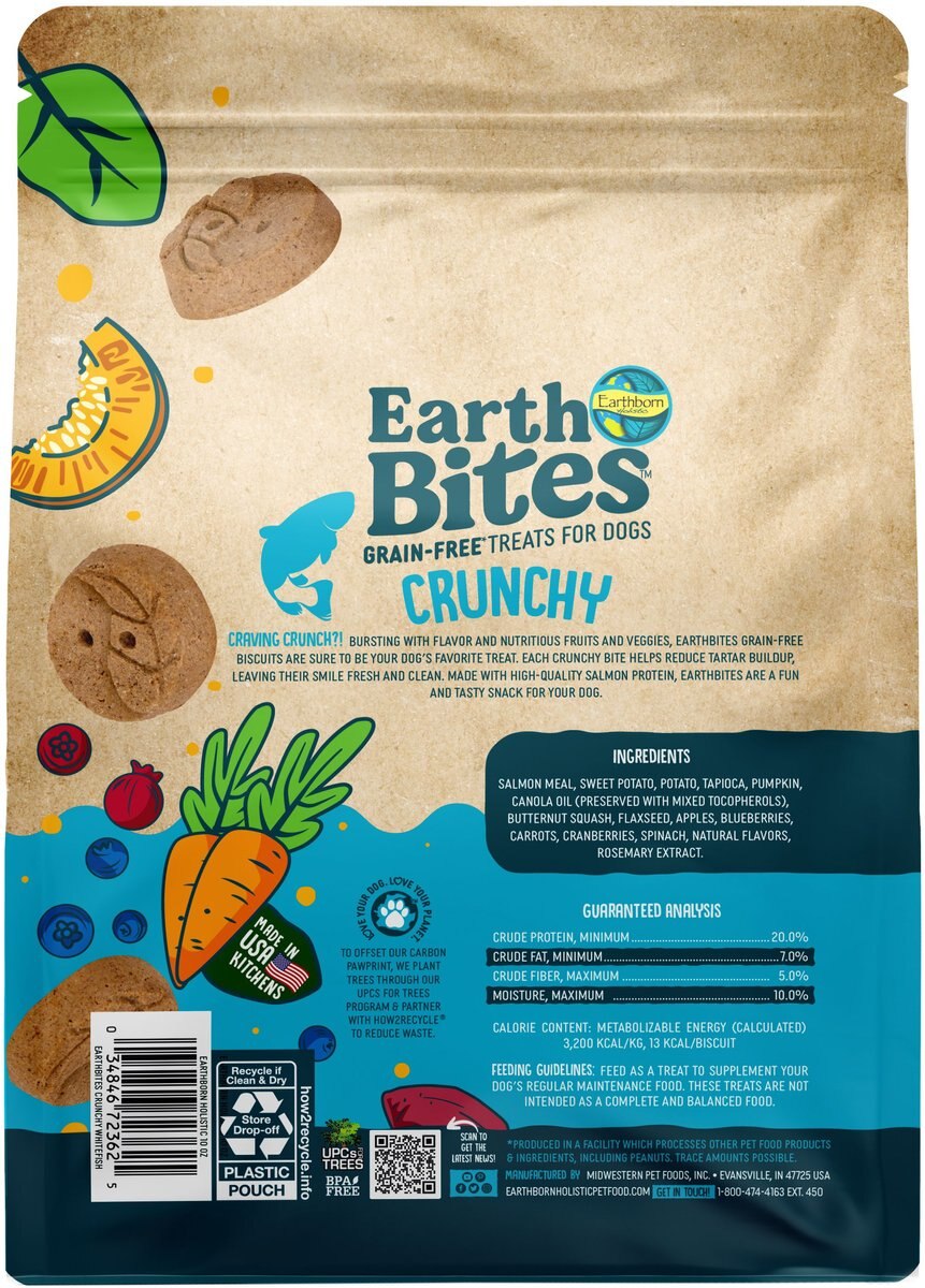 Earthborn Holistic Salmon Flavored Crunchy Dog Treats