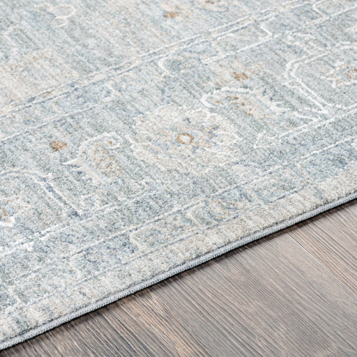 Avant Garde Traditional Light Gray Rug