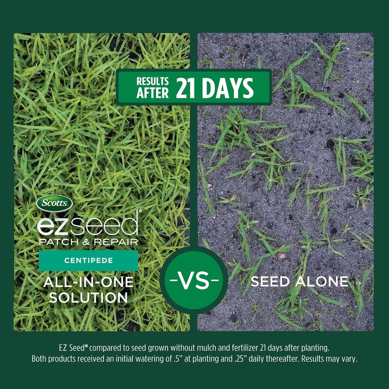 EZ SEED CENTIPEDE 10 LB