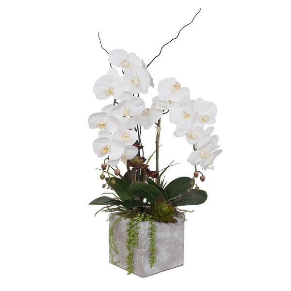 Real Touch White Orchid with Succulent Arrangement in Square Stone Pot