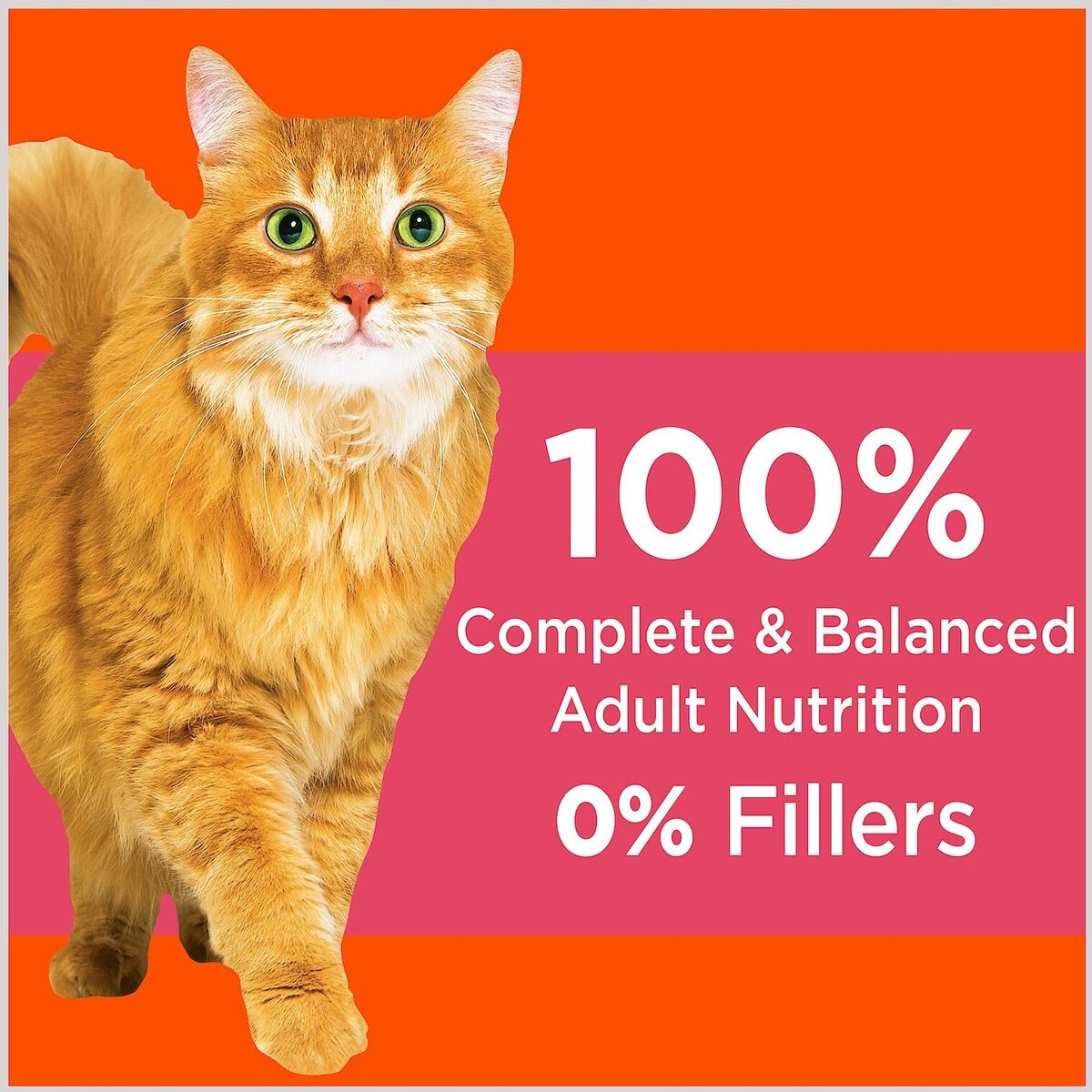 Iams ProActive Health Salmon Recipe Adult Dry Cat Food