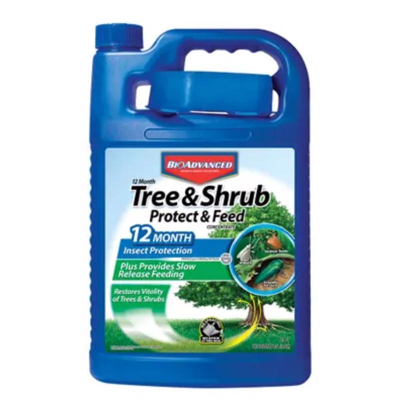 TREESHRUB PRTCTFD 1GAL