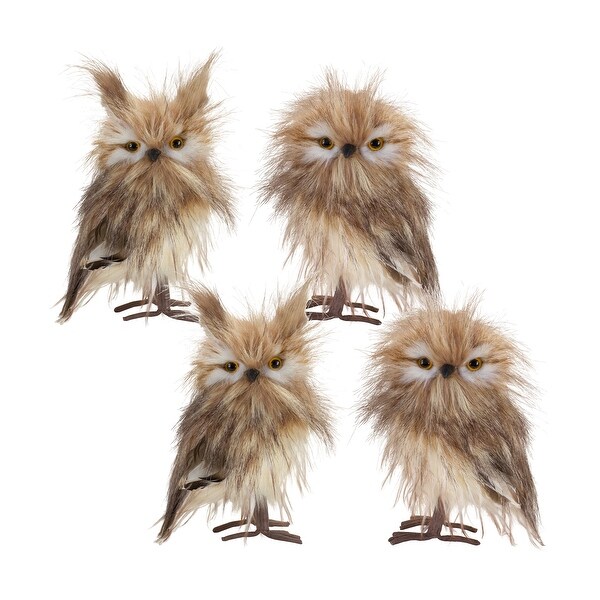 Owl Decor (Set of 4)