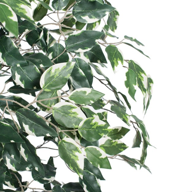 Artificial Variegated Ficus Tree (6