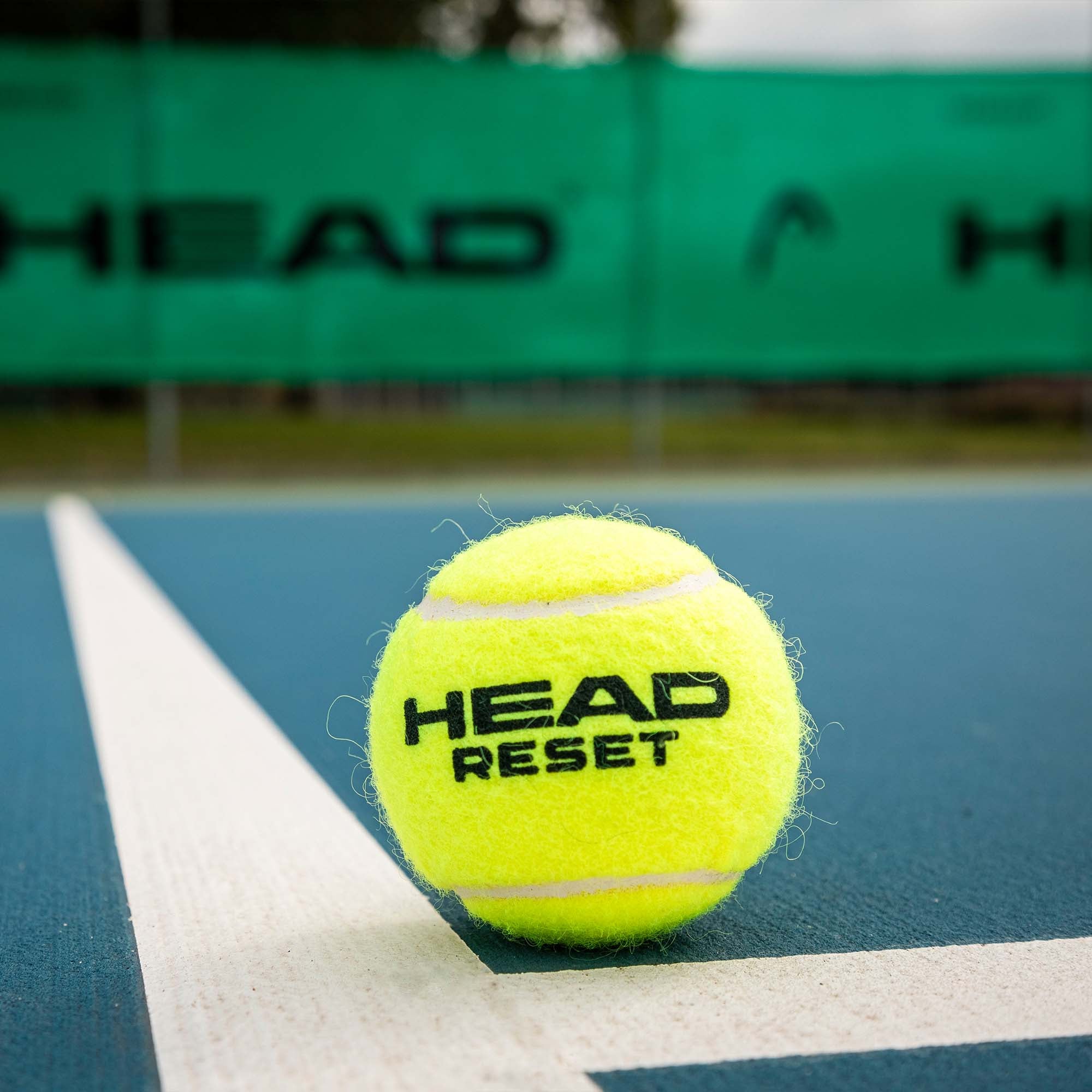 Head Reset Tennis Balls - Carton Of 4