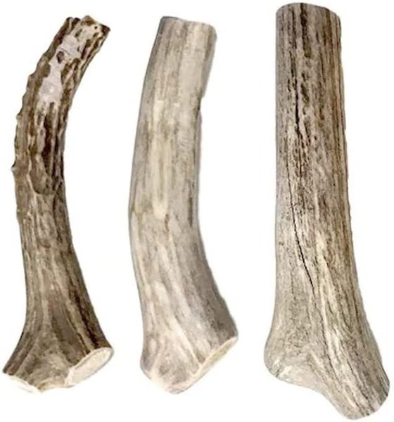 HOTSPOT PETS 5-8-inch All Natural Small Whole Deer Antler Chews Dog Treats