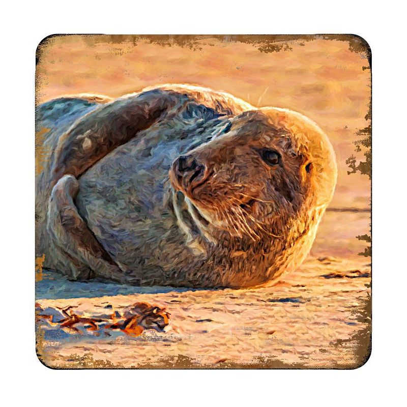 Seal Coastal Wooden Cork Coasters Gift Set of 4 by Nature Wonders