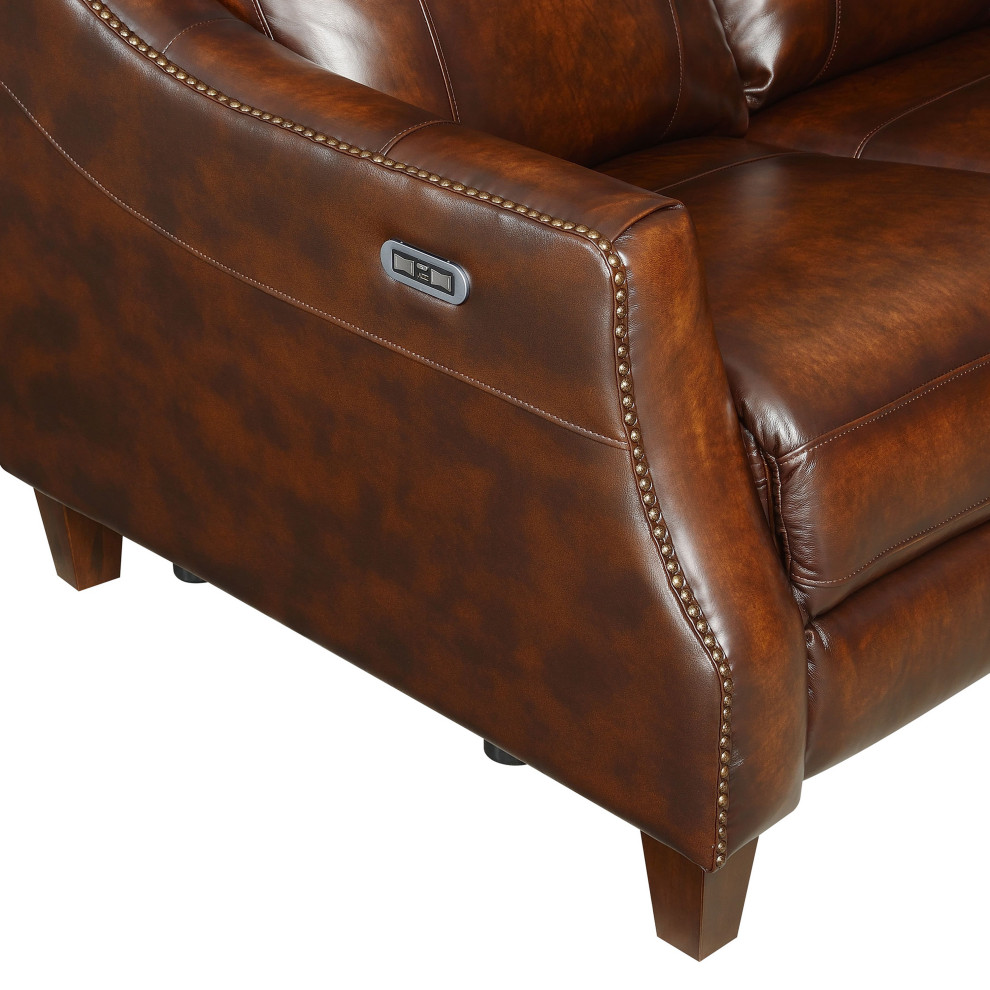 Akari Power Reclining Loveseat   Transitional   Loveseats   by HedgeApple  Houzz