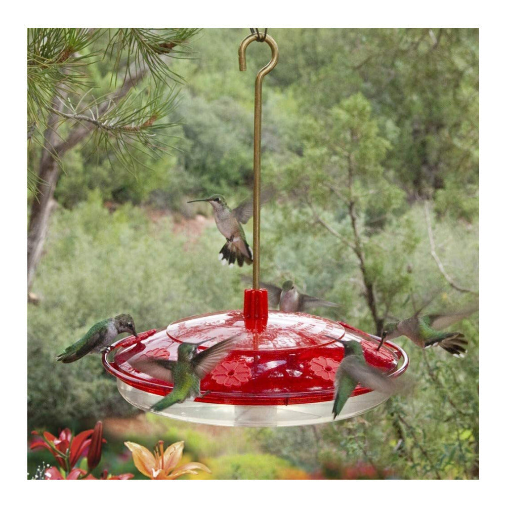 Droll Yankees Happy Eight 2 Hummingbird Feeder with Nectar Guard Tips (2-Pack)