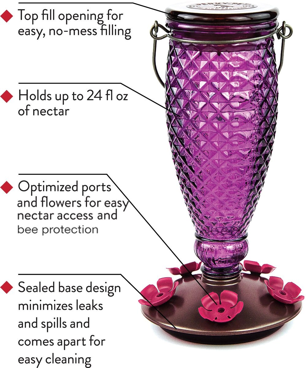 Perky-Pet Diamond Wine Top-Fill Glass Hummingbird Feeder