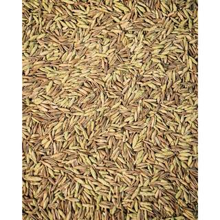 JB 7 lbs. Tall Fescue Grass Seed TF7