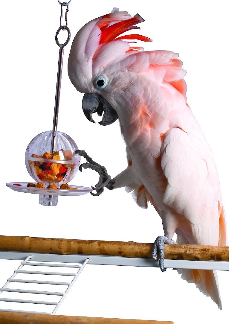 Caitec Featherland Paradise Fillable Ball and Kabob Bird Toy