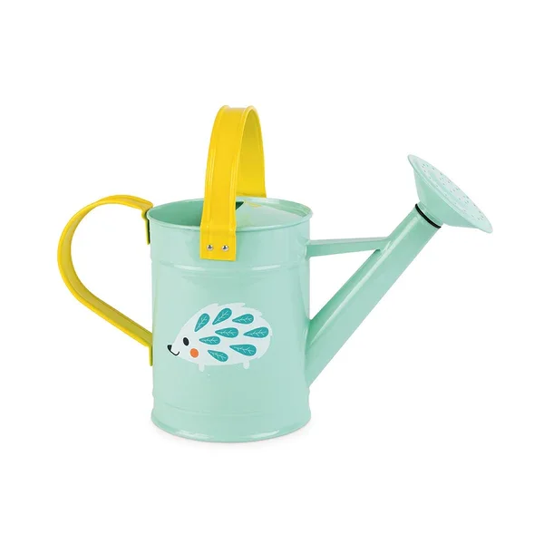 Wholesale Garden s Metal Watering can Excellent quality Wholesale Customized Indoor Garden Watering Flower Plant pot