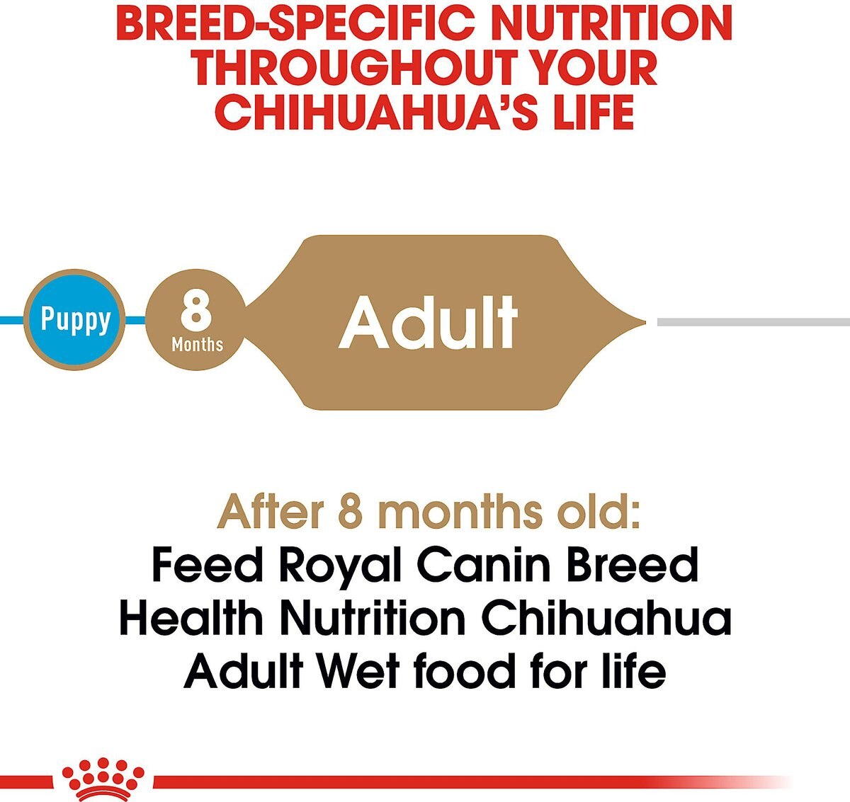 Royal Canin Breed Health Nutrition Chihuahua Loaf In Gravy Pouch Dog Food