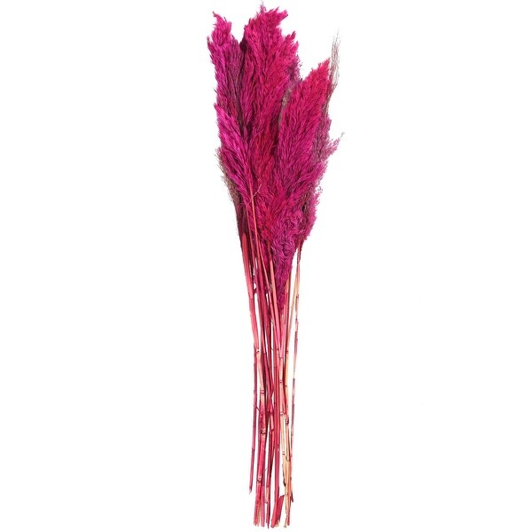 Pink Dried Plant Pampas Home Decor Natural Foliage with Long Stems