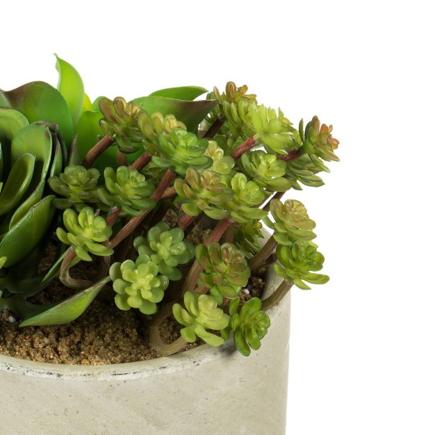 Artificial Succulent Arrangement (8) - Vickerman